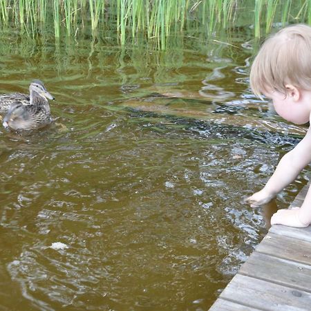 Moekki Etelaeranta Villa Mikkeli Luaran gambar