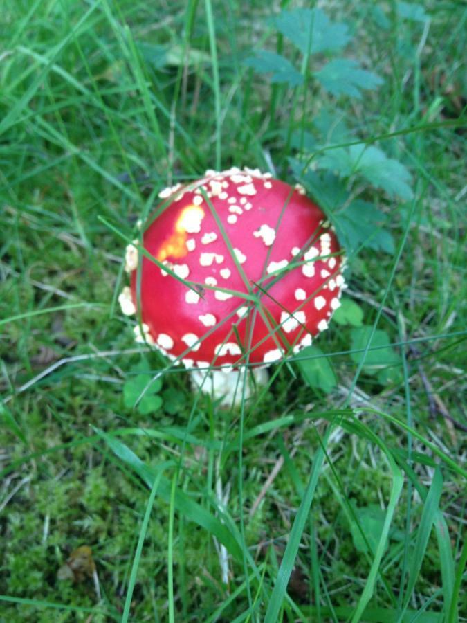 Moekki Etelaeranta Villa Mikkeli Luaran gambar