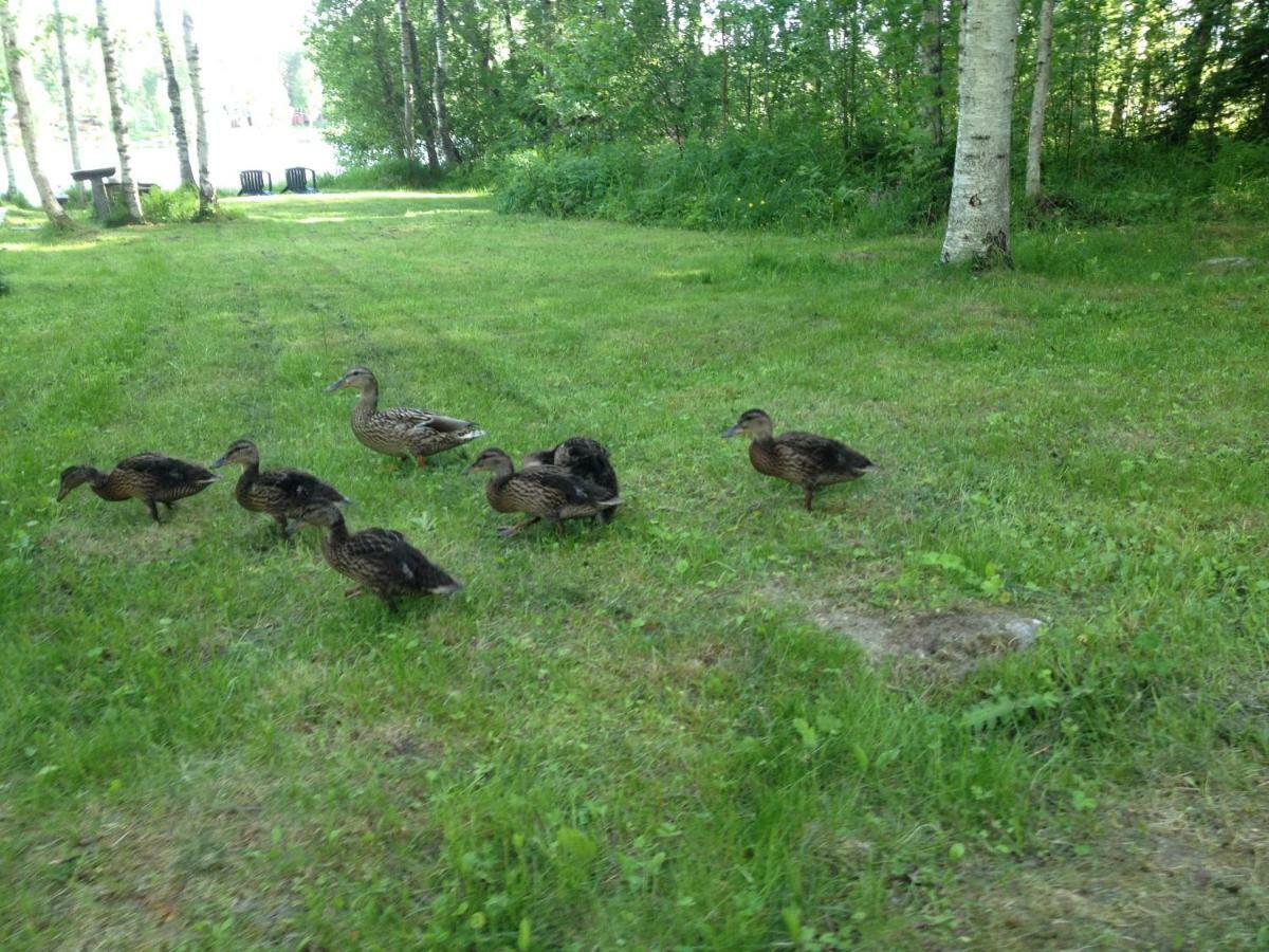 Moekki Etelaeranta Villa Mikkeli Luaran gambar
